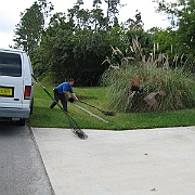 Picture 005